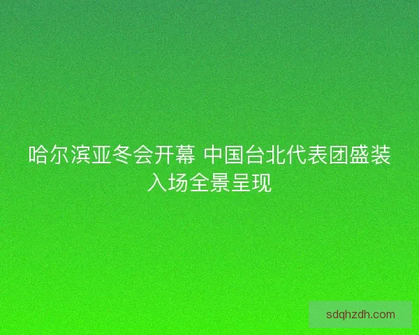 哈尔滨亚冬会开幕 中国台北代表团盛装入场全景呈现