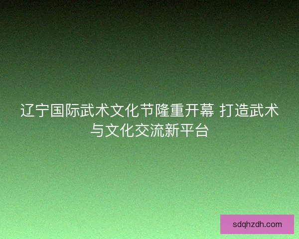 辽宁国际武术文化节隆重开幕 打造武术与文化交流新平台