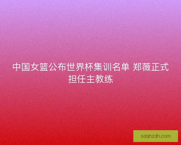 中国女篮公布世界杯集训名单 郑薇正式担任主教练